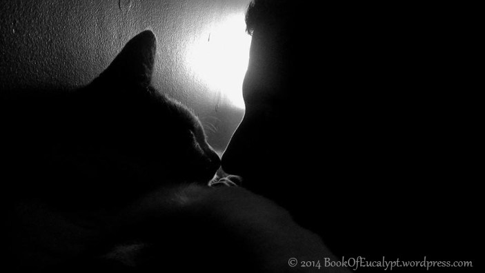 charlie-muggle-tagged