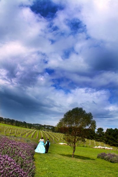 And we all lived happily ever after...