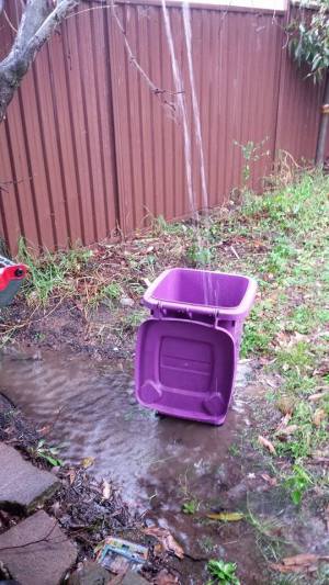 Cleaning out the Inside Recycle Bin. Don't put the bowl in it's place!
