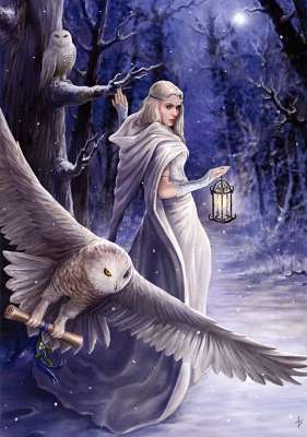 'Midnight Messenger' by Anne Stokes