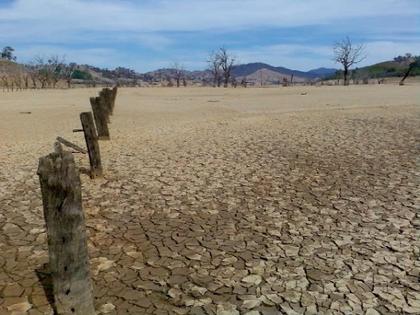 Lake Hume, 2007 (c) Book of Eucalypt