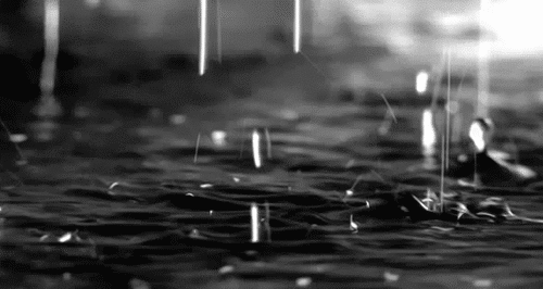raindrops