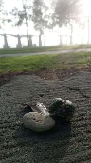 Midwinter offering of land, sea and sky