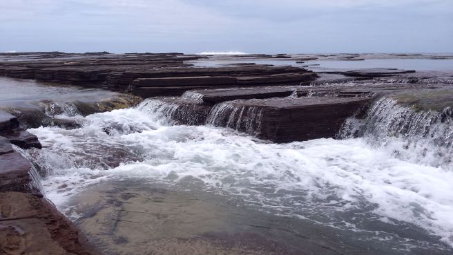 (C) Book of Eucalypt 2016. What do you feel here?