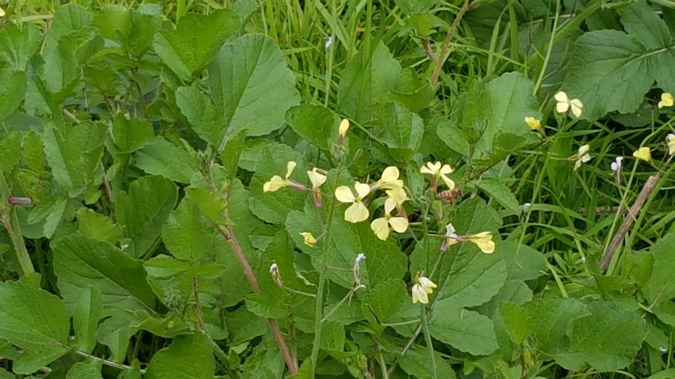 31 Days of Devotion – Week&nbsp;Four