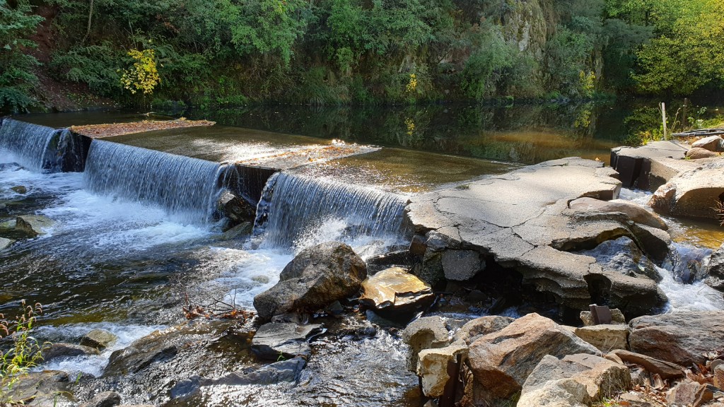 A year and a&nbsp;day