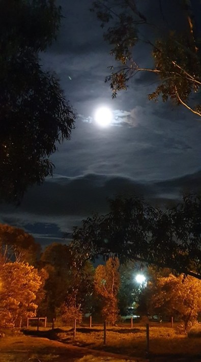 70578959_10157641108759828_1089712389307236352_n