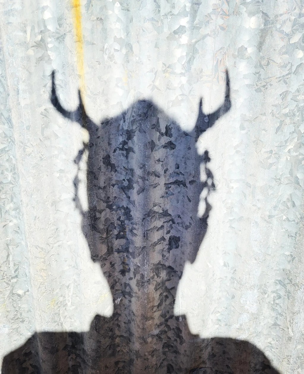 Finding my way&nbsp;home